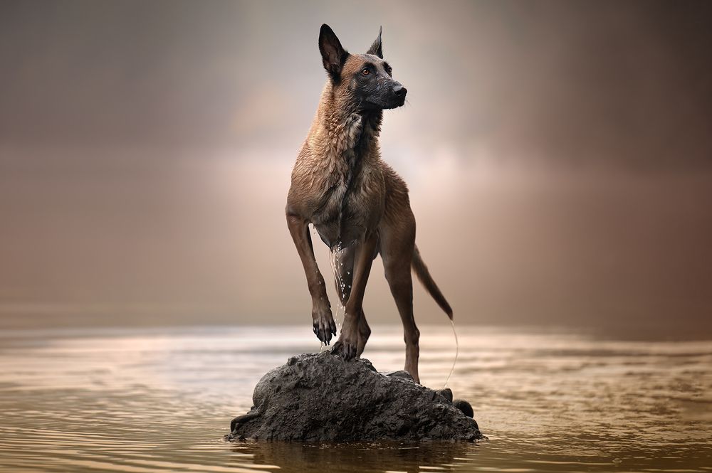 Photograph by Marcella Miriello