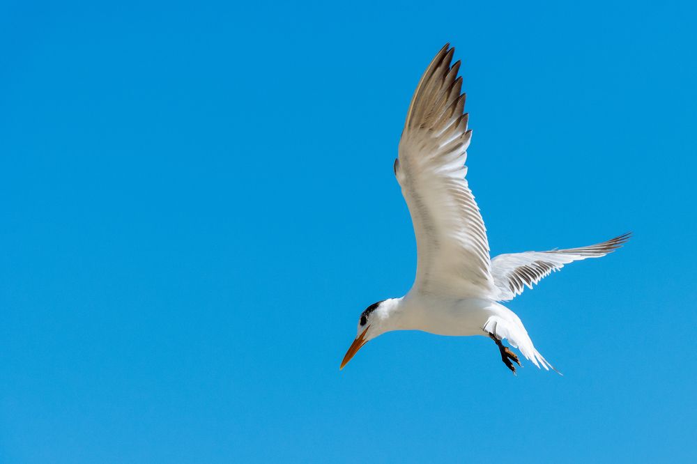 Photograph by Jaime Trejo