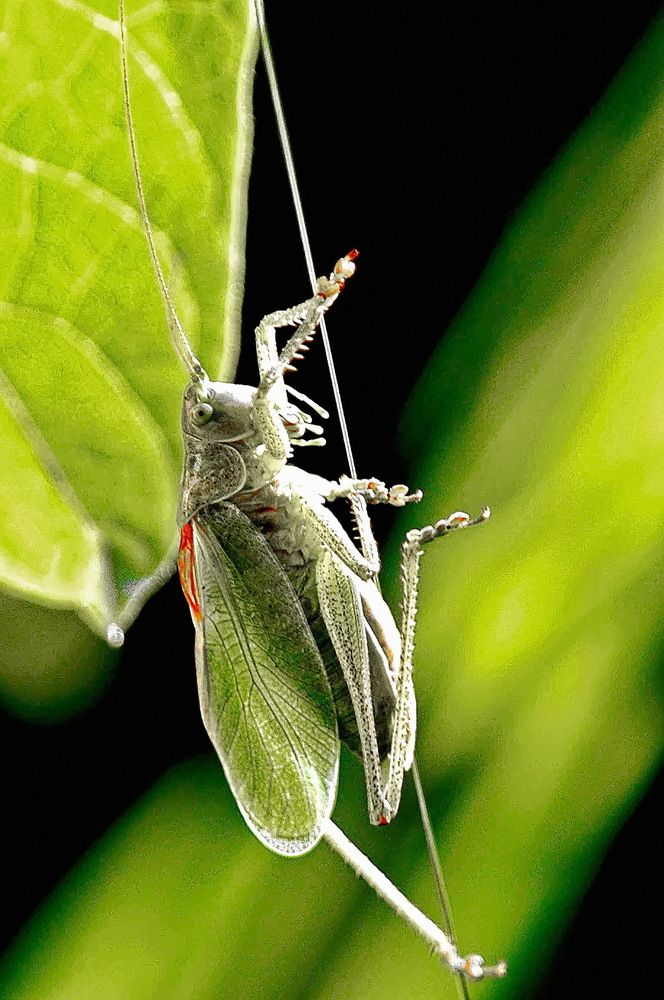 Photograph by Сергей Балухта