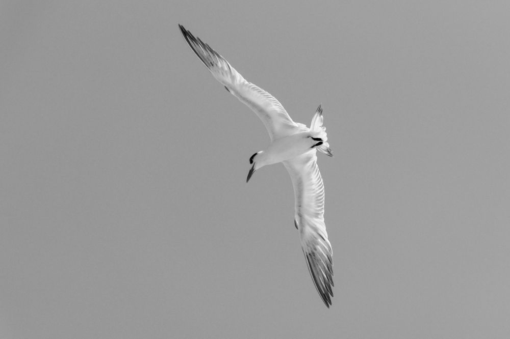 Photograph by Jaime Trejo