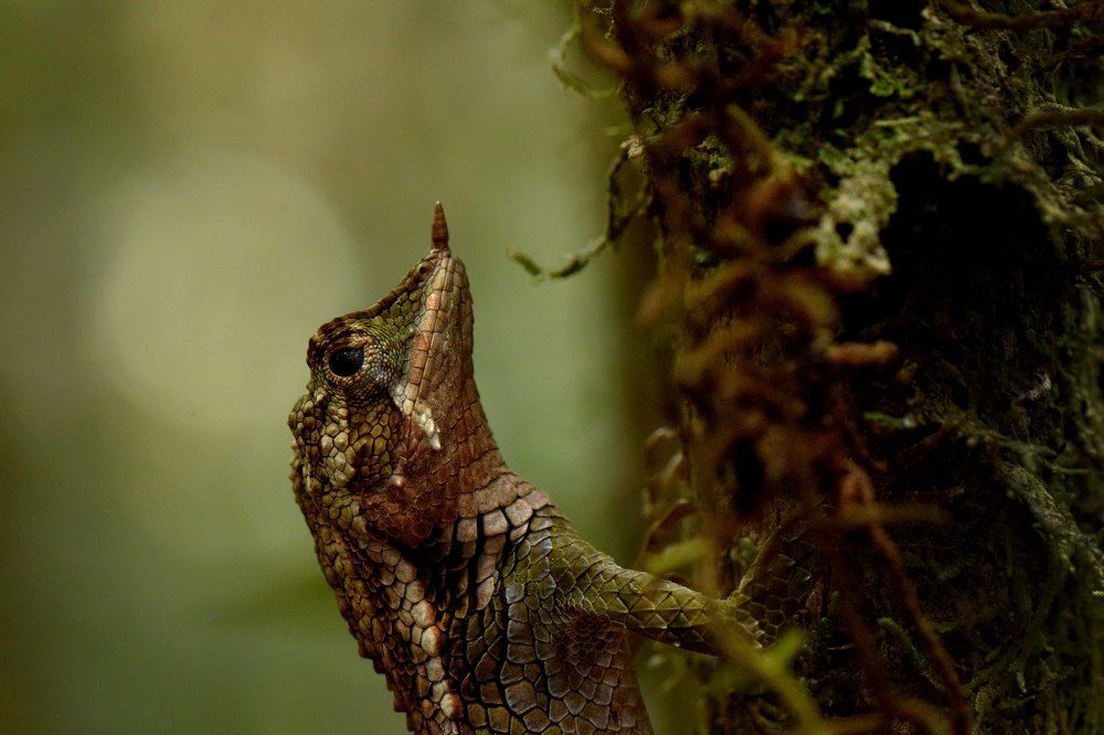 Photograph by Benjamine Dharashan