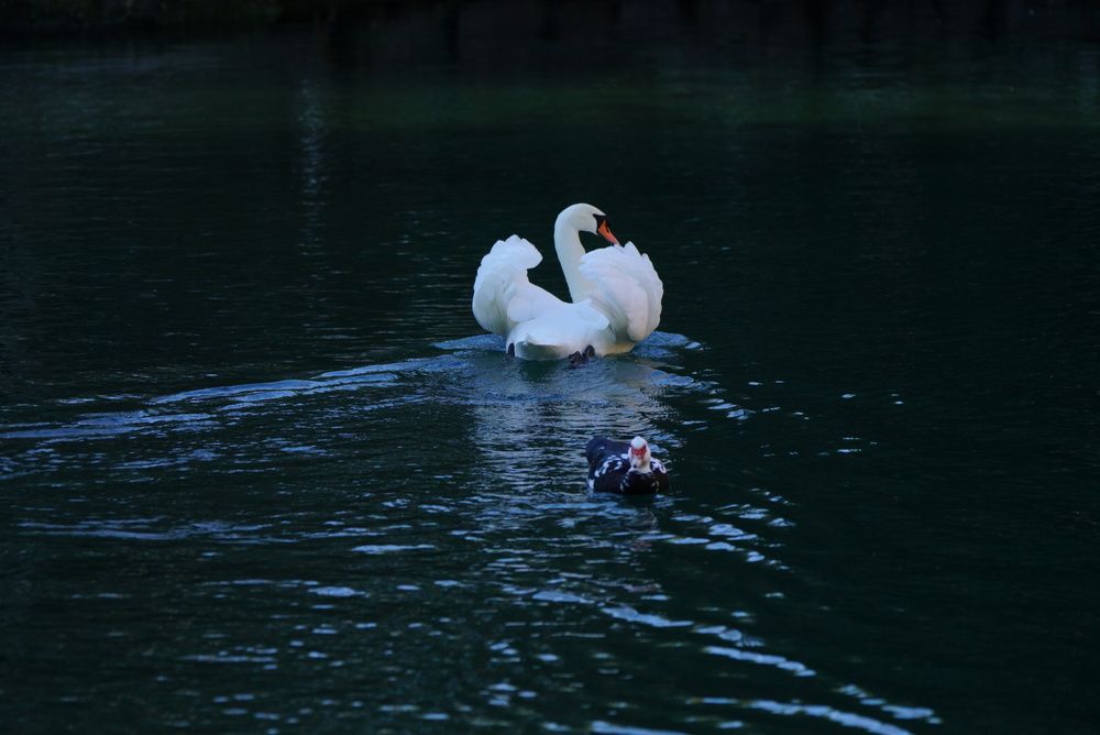 Photograph by Владимир Орлов