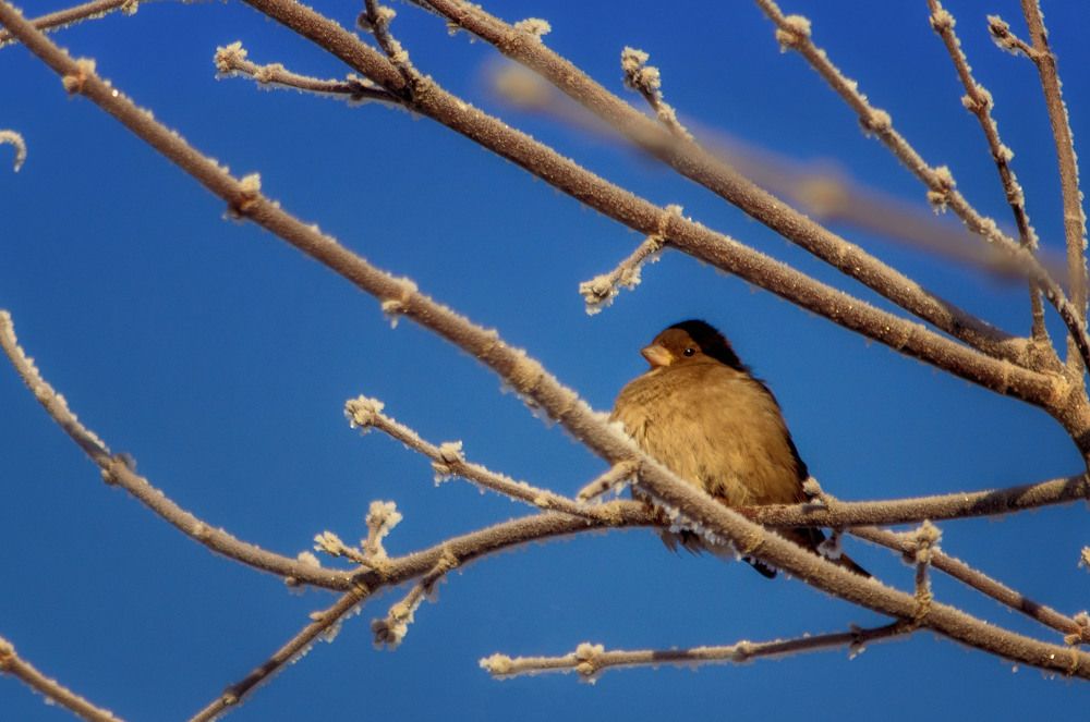 Photograph by Юлия Лушникова