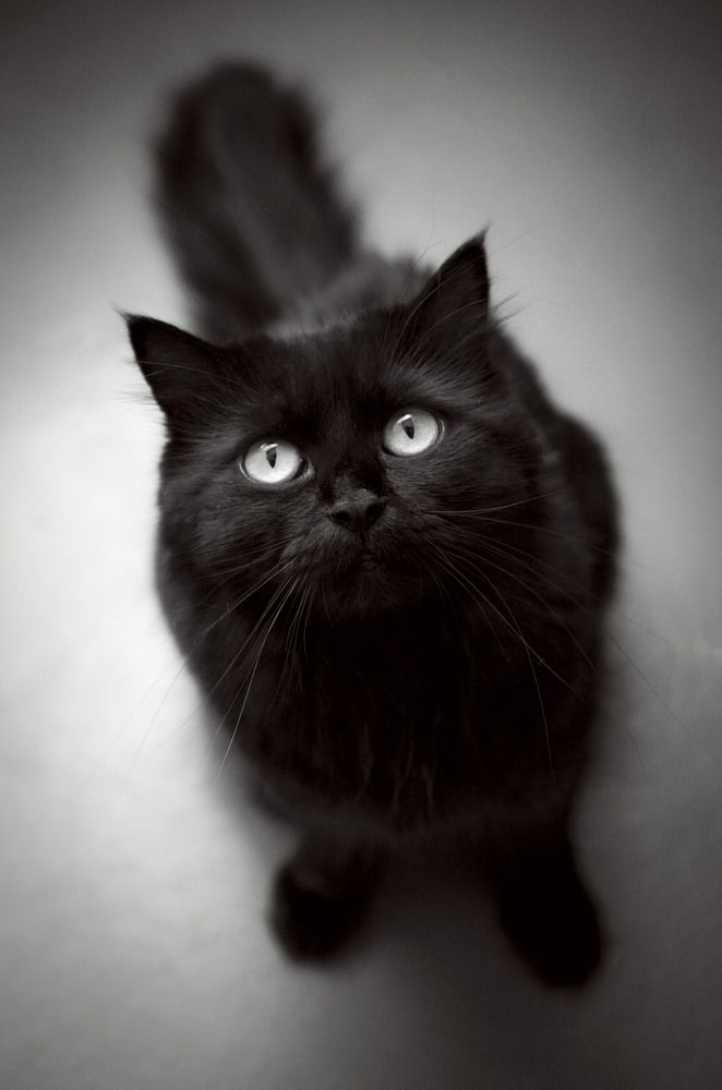 Photograph by Юлия Лушникова