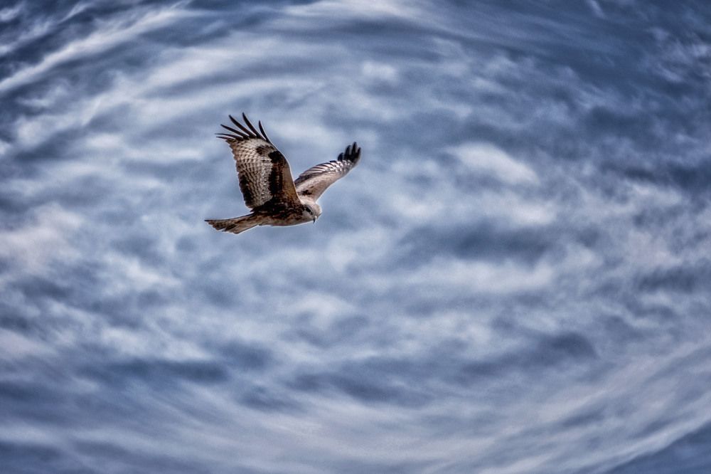 Photograph by Юлия Лушникова