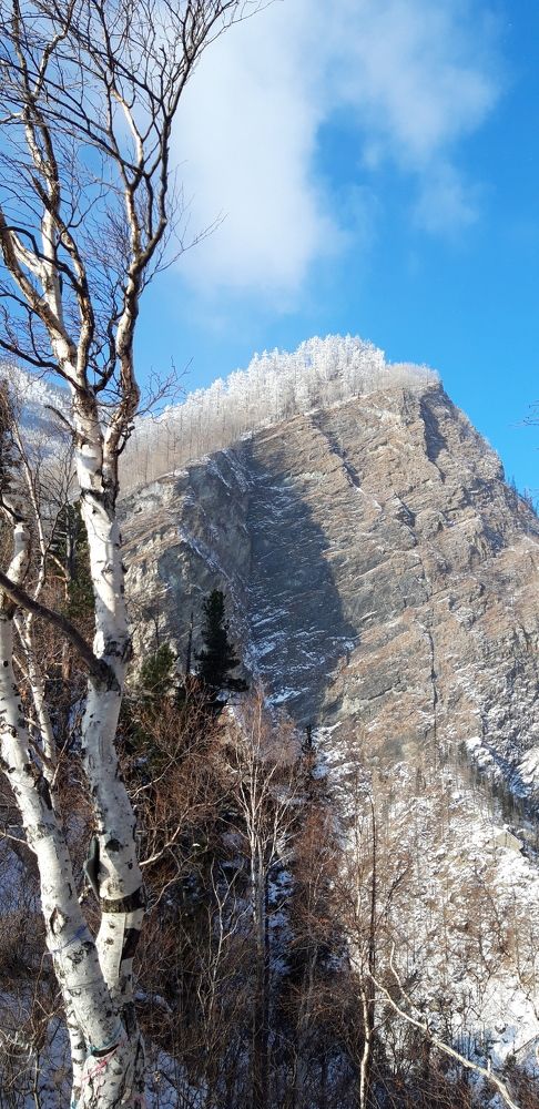Фотография автора Татьяна Свистулина