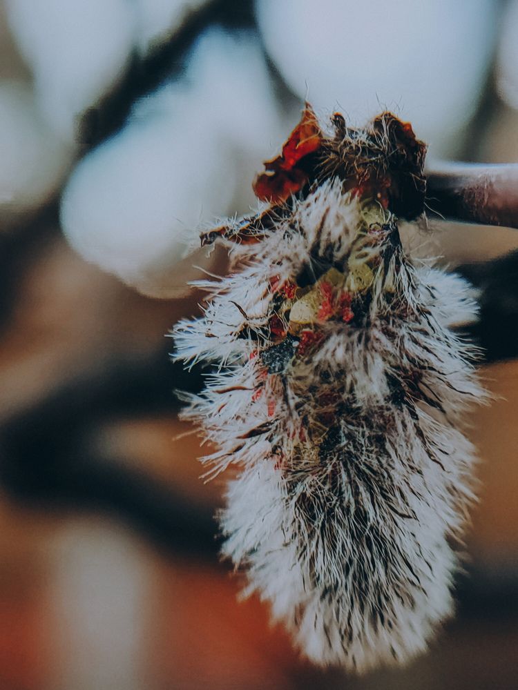 Photograph by Денис Нарышев