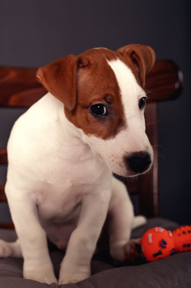 Photograph by Татьяна Гузева