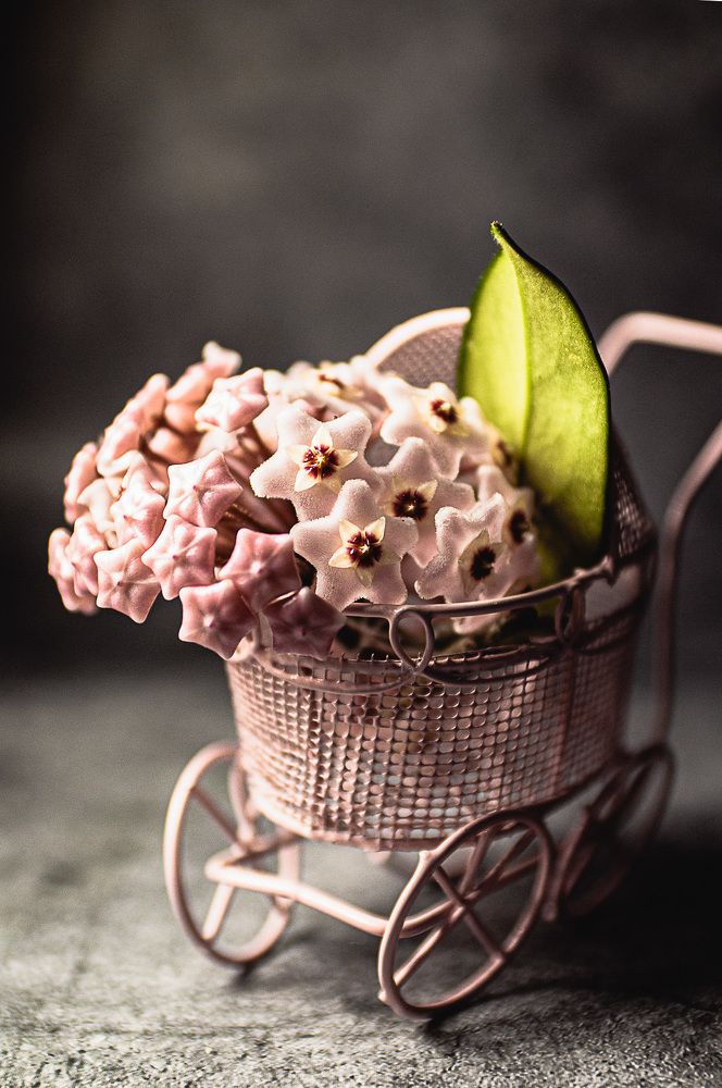 Photograph by Ольга Радько