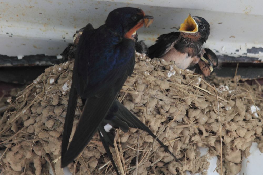 Photograph by Андрей