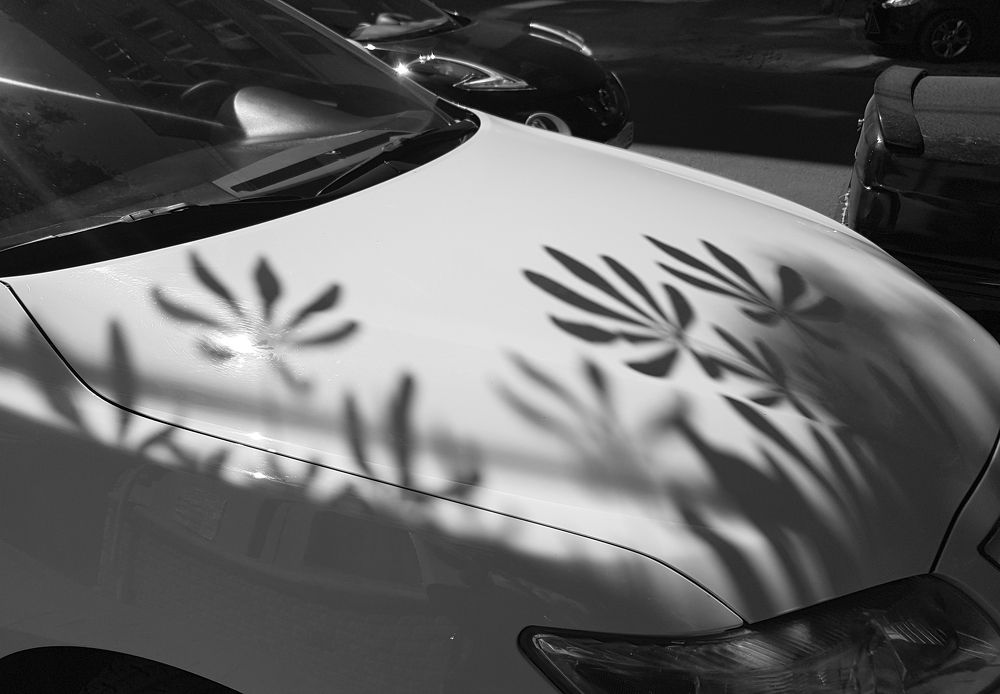 Photograph by Светлана Мельник