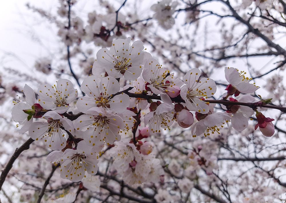 Photograph by Светлана Мельник