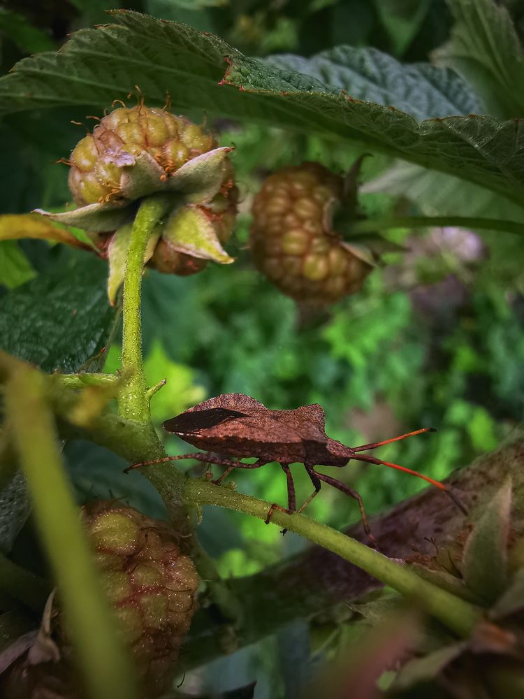 Photograph by Мария Колоскова