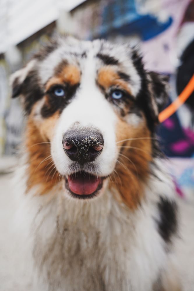 Photograph by Сергей Дубровский