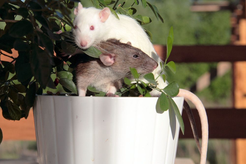 Photograph by Андрей