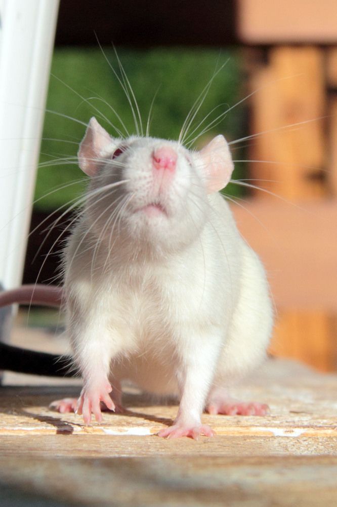 Photograph by Андрей