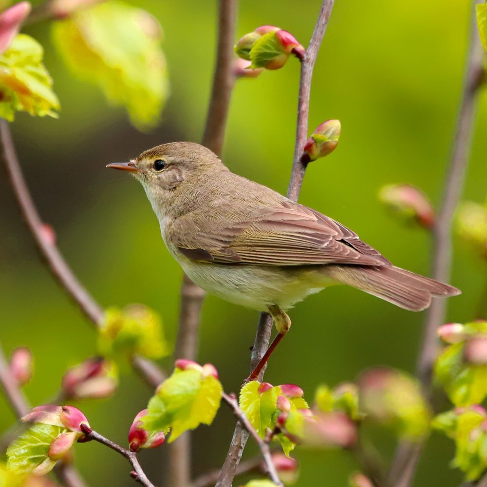 Photograph by Алексей