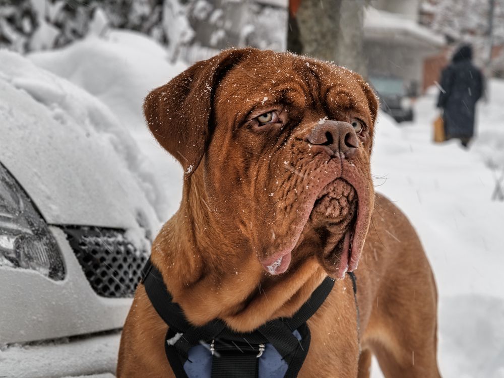 Photograph by Владимир Кваша