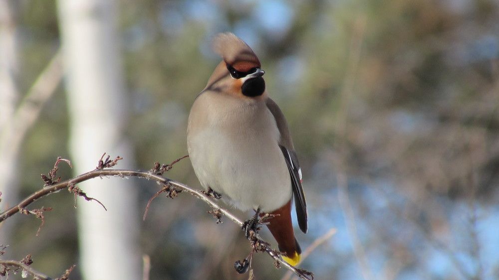 Photograph by Мария Глухова
