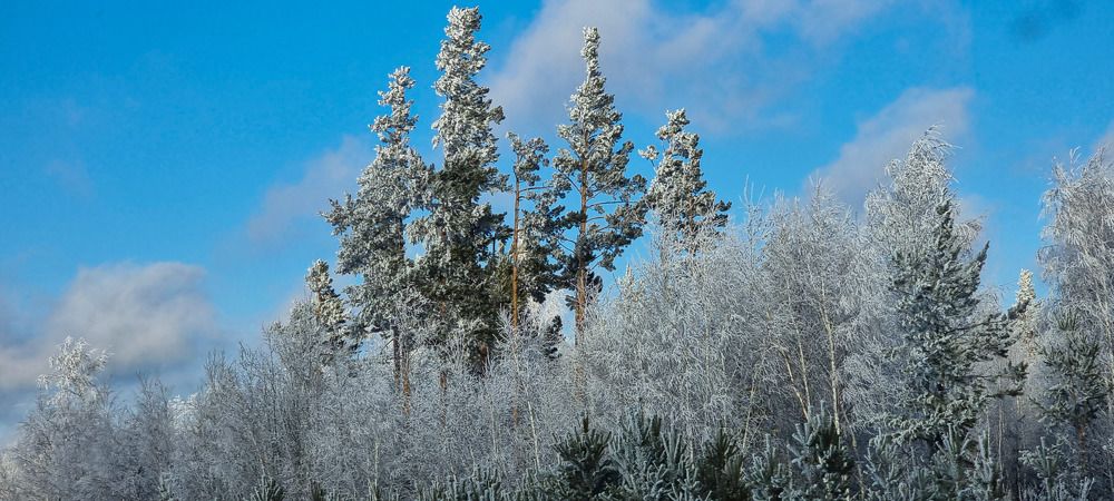 Photograph by Антон Топольский