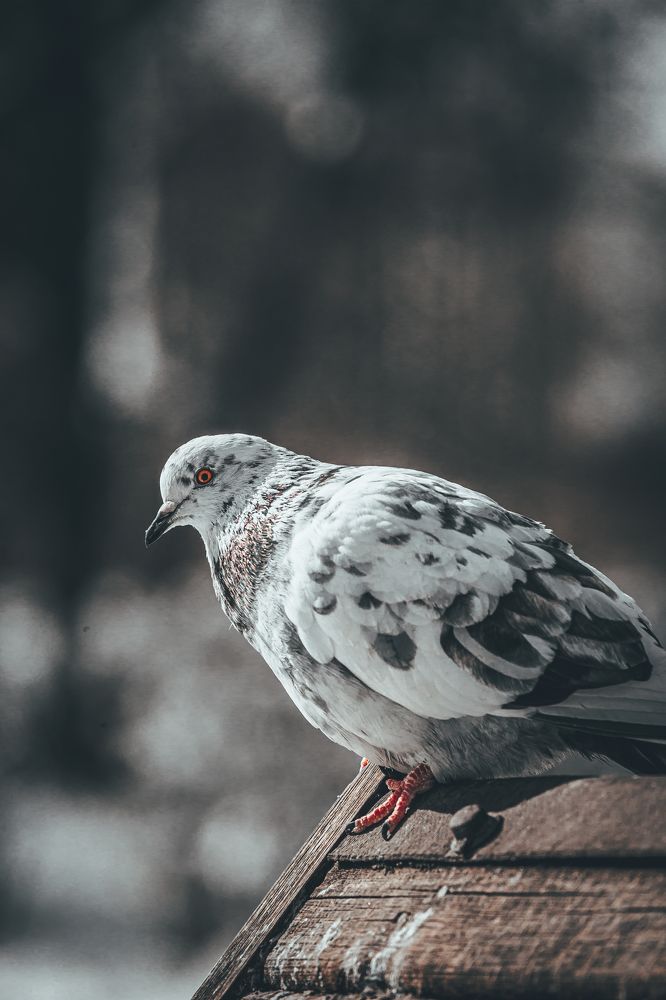 Фотография автора Марат Габидуллин