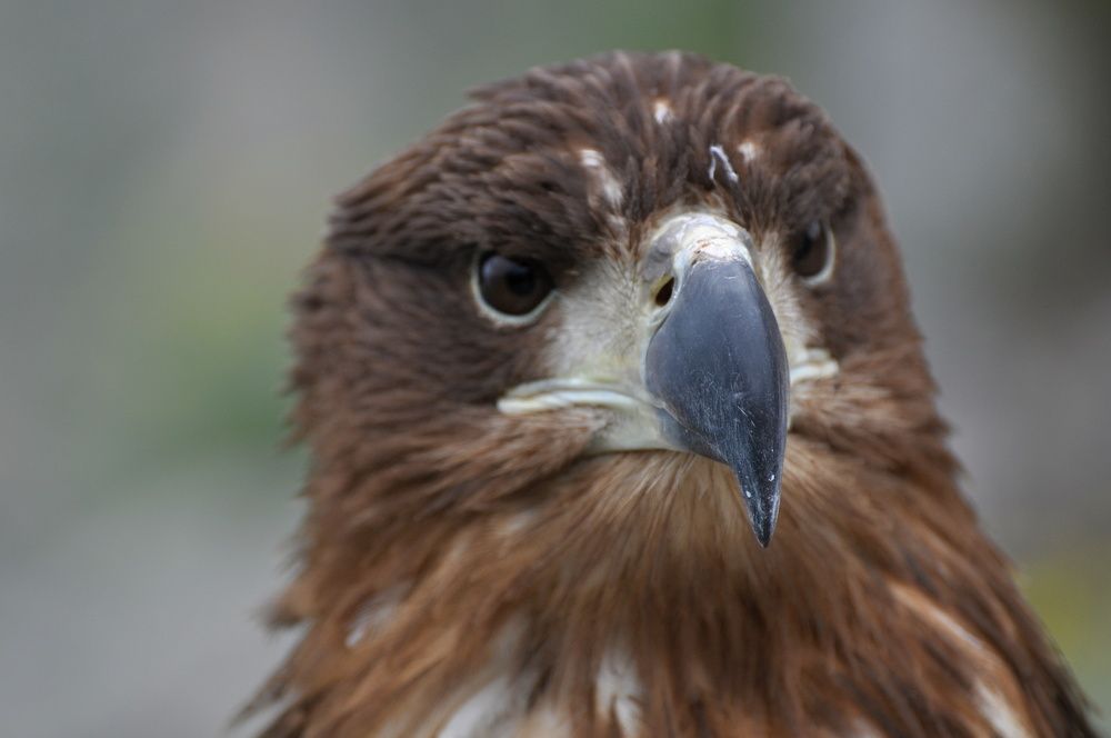 Photograph by Юрий Тараненко