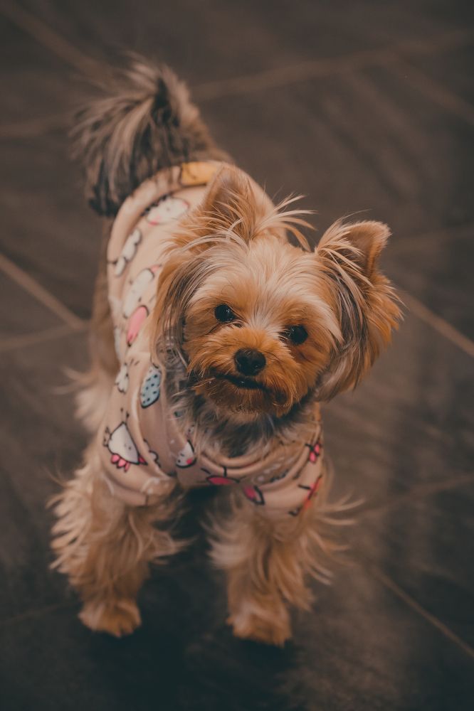 Photograph by Елена Буканина