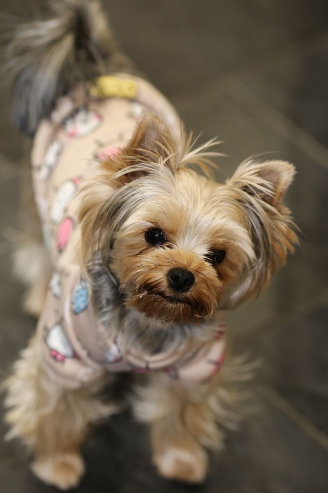 Photograph by Елена Буканина