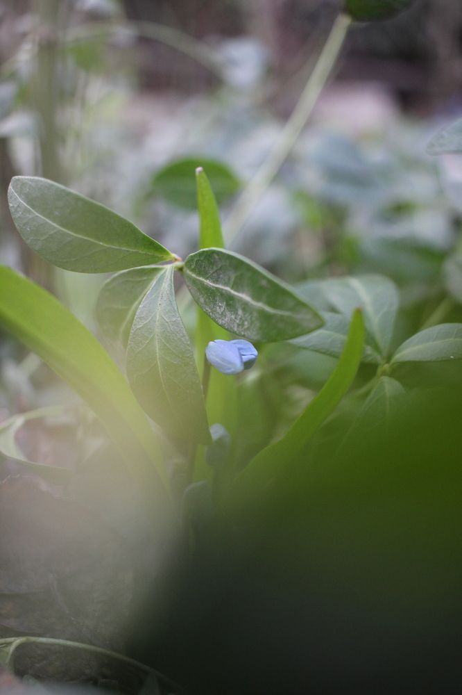 Photograph by Марина Евграфова