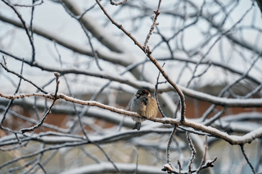Photograph by Владимир Алексеев