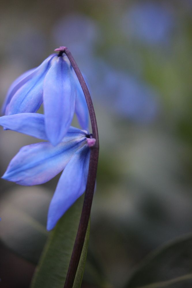 Photograph by Марина Евграфова