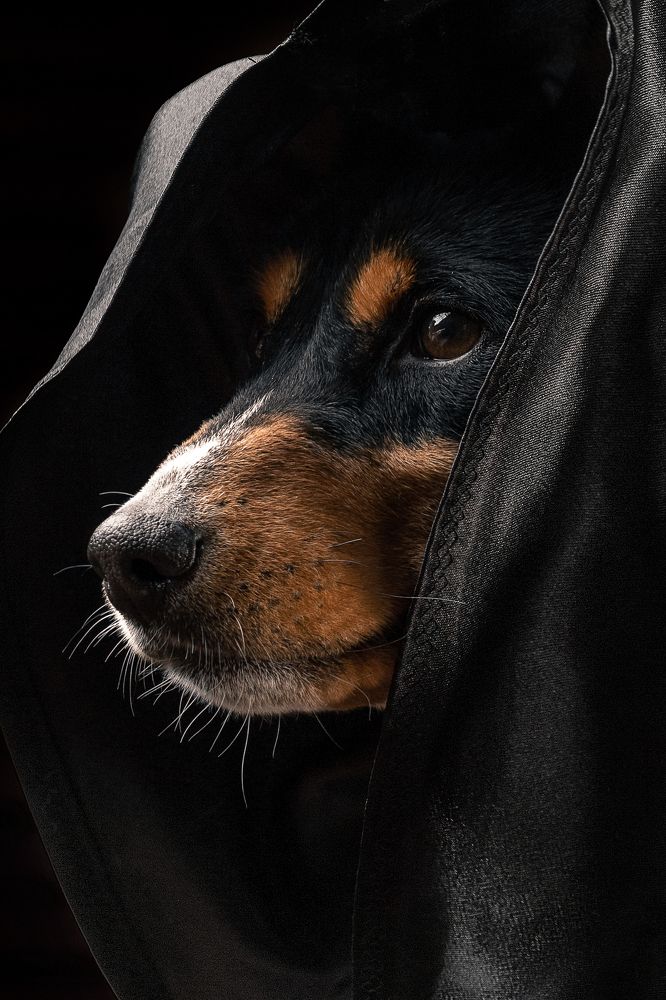 Photograph by Иван Вострецов