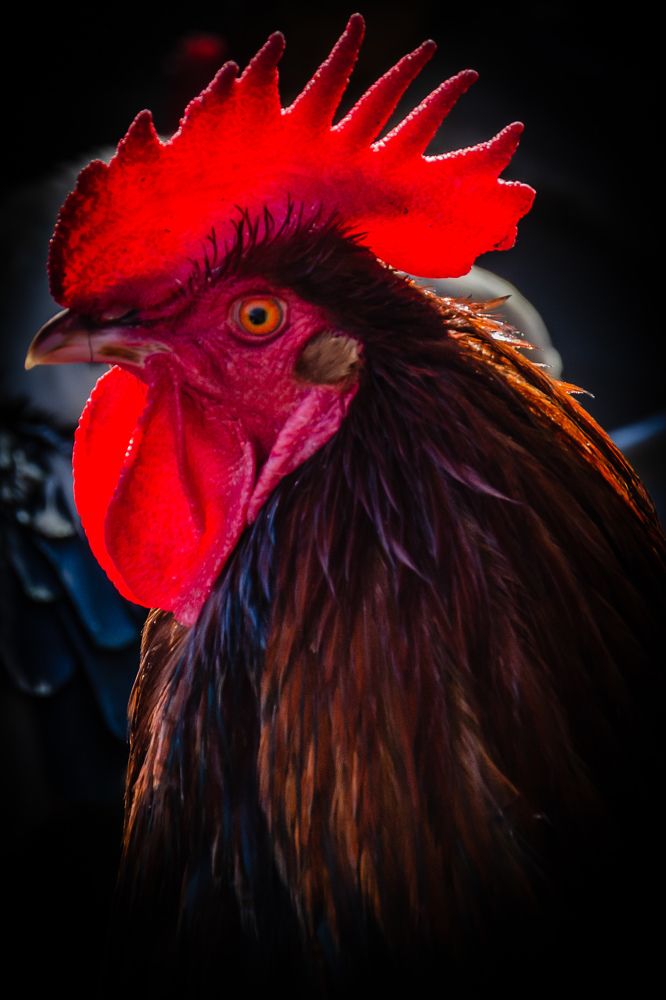 Photograph by Карина Дудатьева