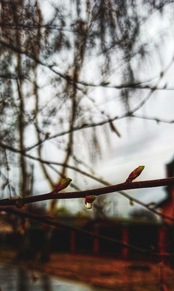 Photograph by Дарья Маркина