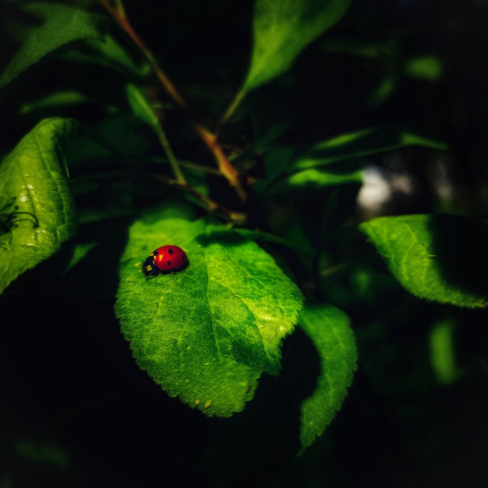 Photograph by Дарья Маркина