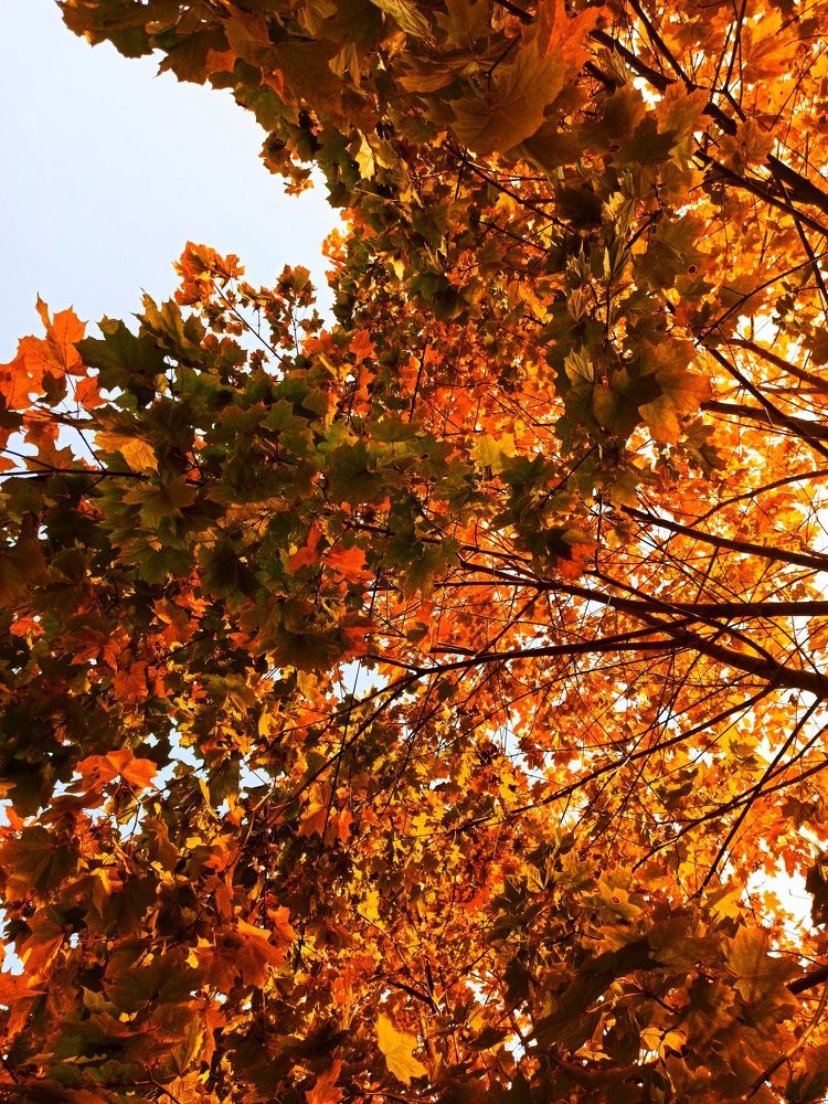 Photograph by Дарья Маркина