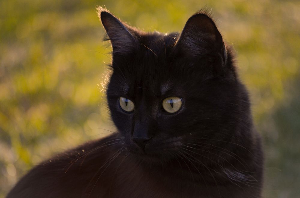 Photograph by Дарья Маркина