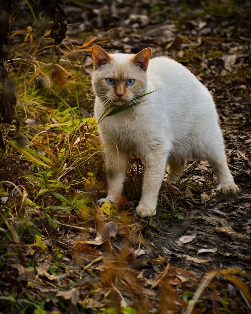 Photograph by Дарья Маркина