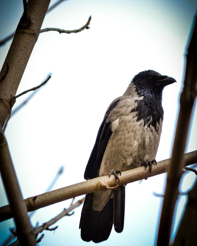 Photograph by Дарья Маркина