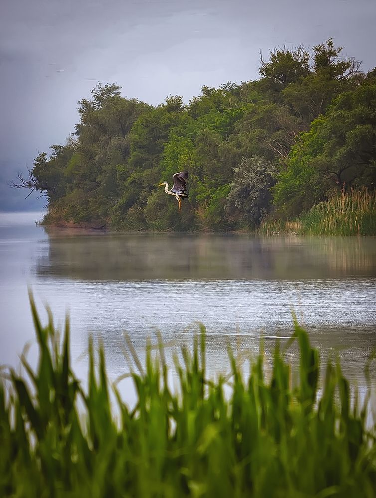 Photograph by Елена Власова