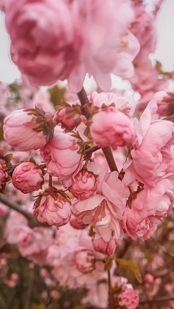 Photograph by Елена Власова