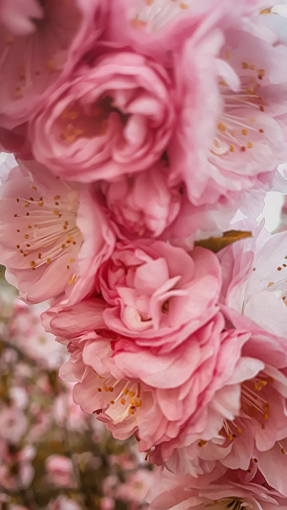 Photograph by Елена Власова