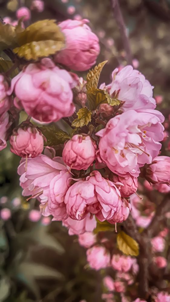 Photograph by Елена Власова