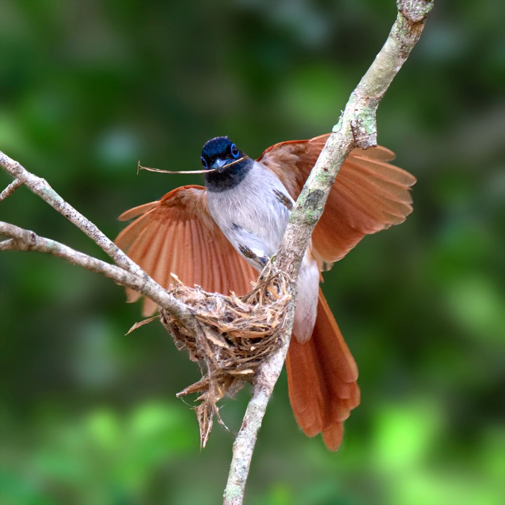 Photograph by Mohamed Raseem