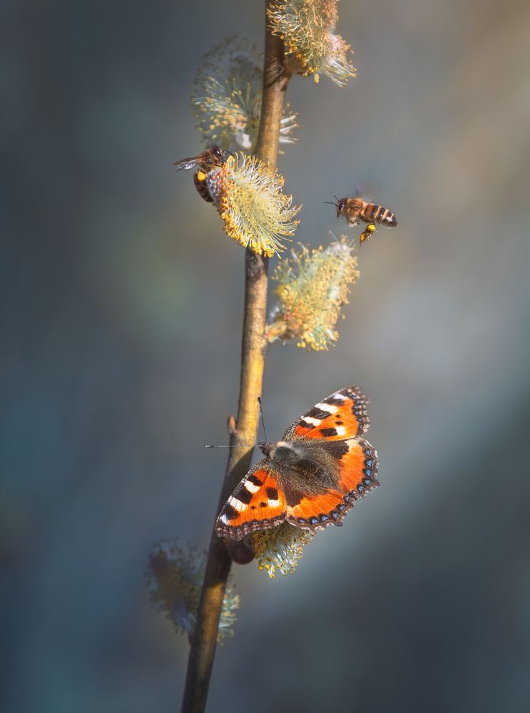 Photograph by Роман Филиповец