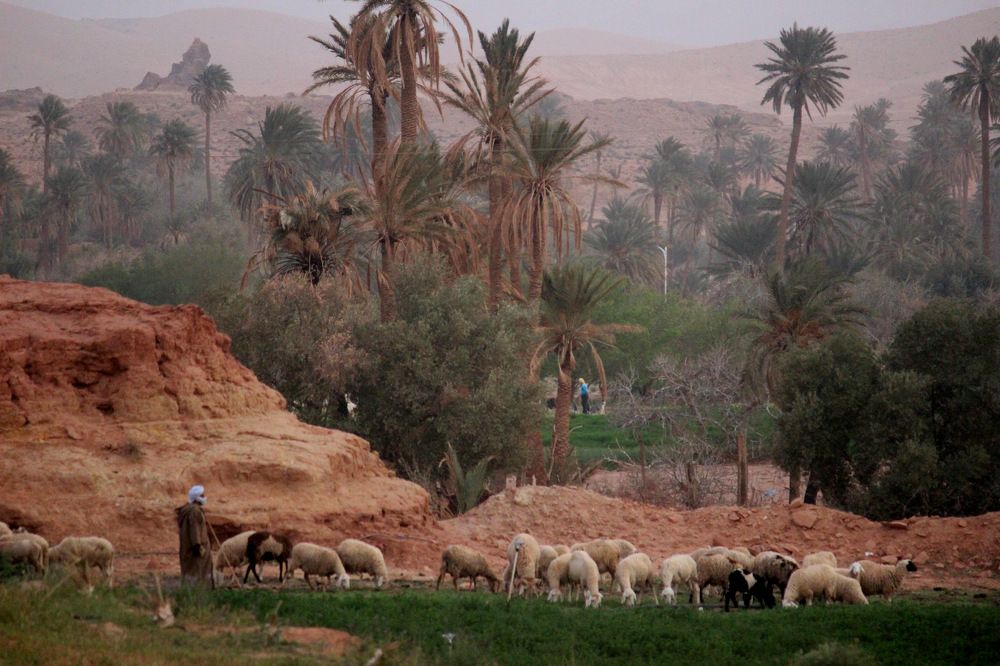 Photograph by karim Bouchetata