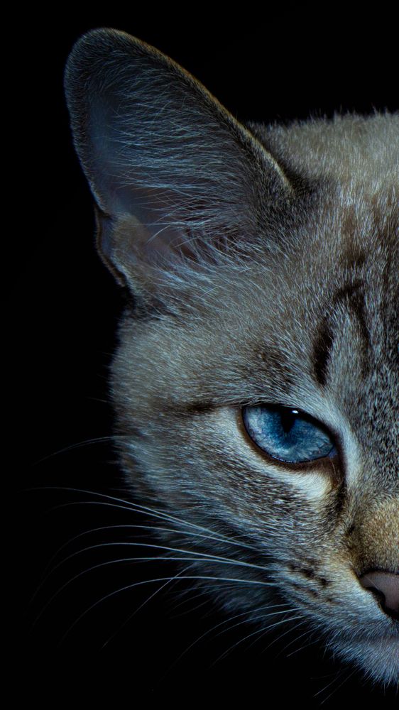 Photograph by Евгения Калугина