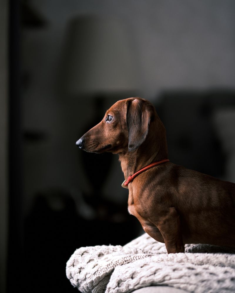 Фотография автора Владимир Эделев