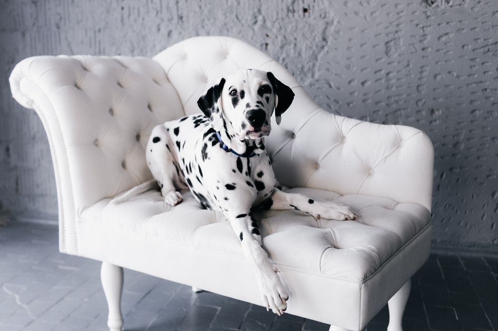 Photograph by Ирина Гриб