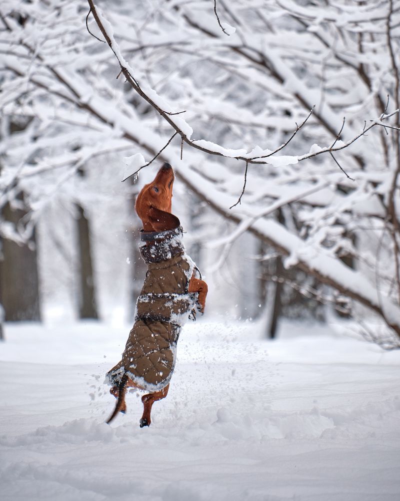 Фотография автора Владимир Эделев
